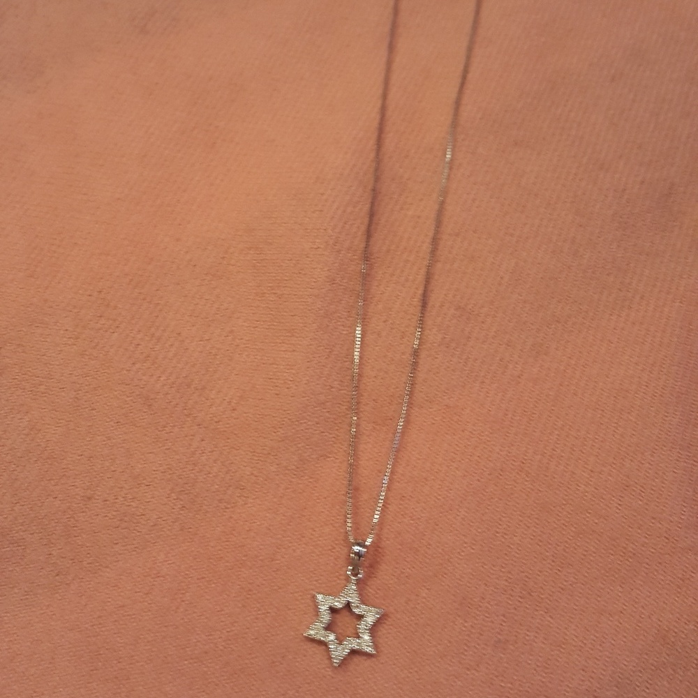 14kt white gold Star of David necklace